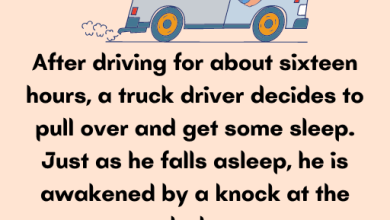 Funny Joke: Truck Driver Wanted To Get Some Sleep