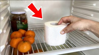 If You See Toilet Paper In Your Fridge Heres What It Could Be Telling You thumb 3