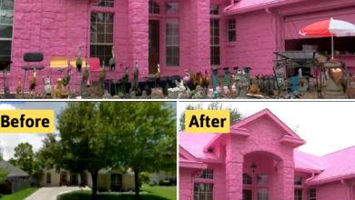 Man Infuriates His Neighbors After Painting His Whole House Vivid Pink