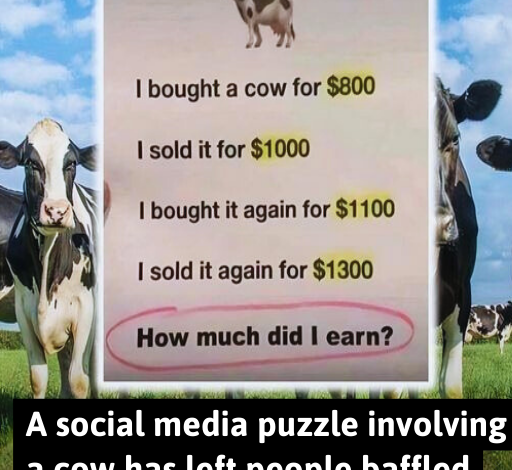 This Seemingly Simple Cow Riddle Has Left People Baffled. Can You Solve It