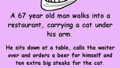 67 year old man orders 10 steaks for his cat – his reason why is priceless