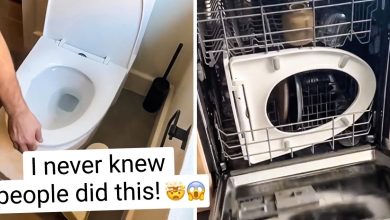 Man Sparks Tons of Comments by Putting Toilet Seat in the Dishwasher for “Easy Clean” Together With Dirty Plates