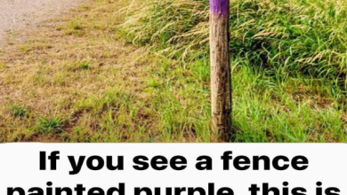 If You See A Fence Painted Purple You Better Know What It Means