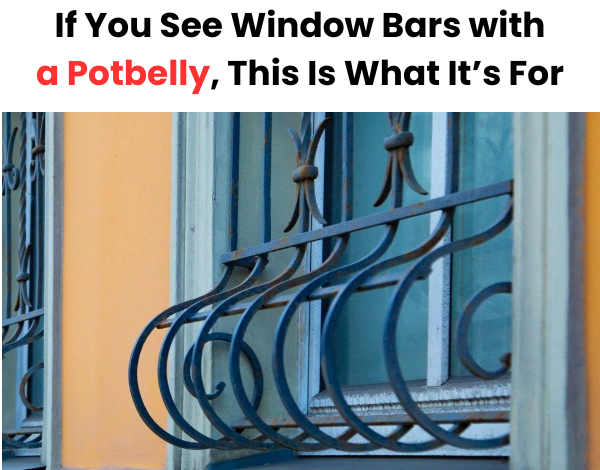 If You See Window Bars with a Potbelly This Is What Its For2