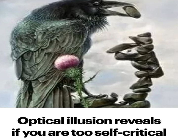 Optical Illusion Reveals If You Are Too SelfCritical55