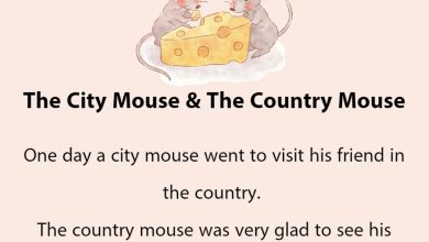 Story The City Mouse The Country Mouse thumb