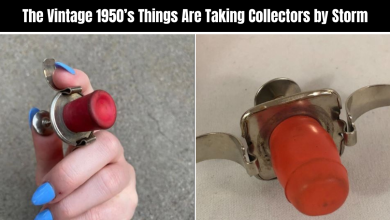 The Vintage 1950’s Things Are Taking Collectors by Storm