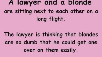 The lawyer asks if the blonde would like to play a fun game Funny Joke Jokesoftheday.com