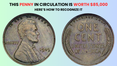 This Penny In Circulation is Worth $85,000 – Here’s How to Recognize It