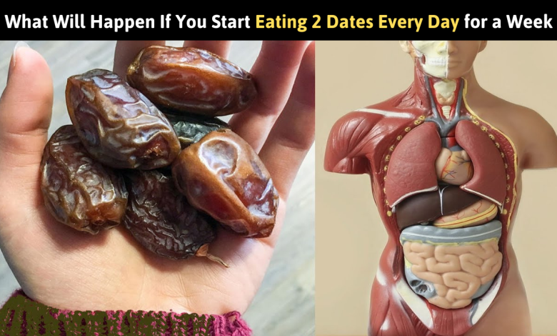 What Will Happen If You Start Eating 2 Dates Every Day for a Week