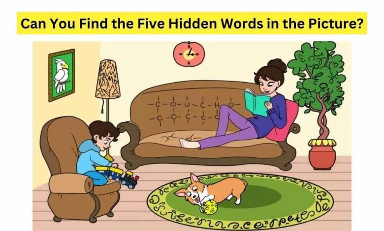 can you find five hidden words i