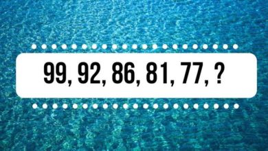 459402862 1091805046280092 5305148899745750606 n