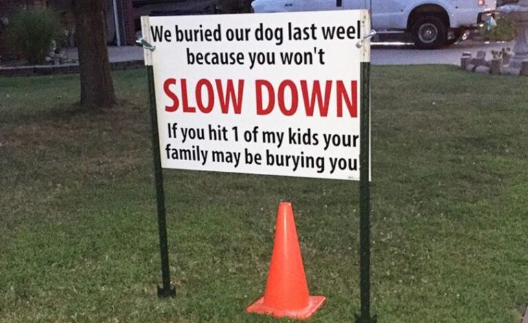 After Dog Is Hit And Killed By Car Familys Brutal Sign Has The Whole Neighborhood Talking