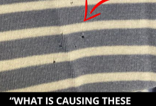 How To Fix A Hole In Clothing Without Sewing e1726540120733