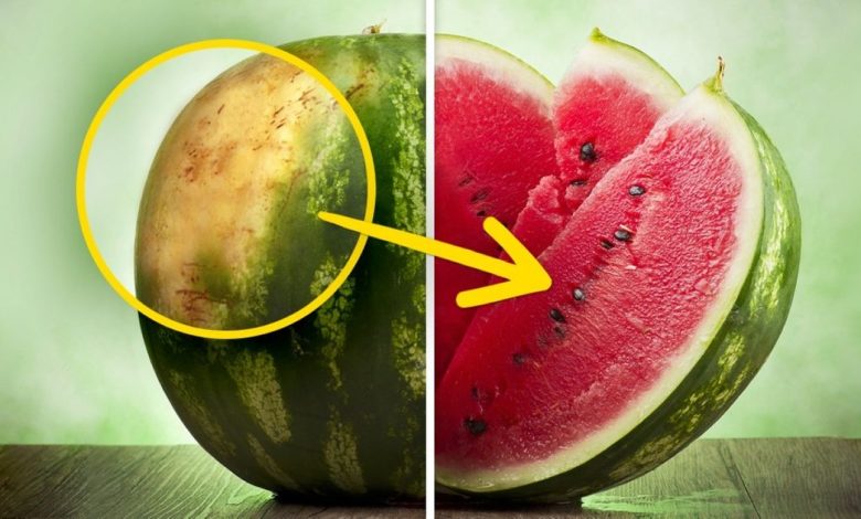 How To Pick A Perfect Watermelon Tips From An Experienced Farmer