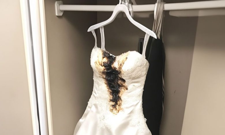 I Found My Wedding Dress Ruined with an Iron