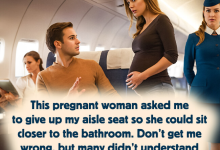 I Refused To Give Up My Seat on the Plane to a Pregnant Woman Was I Wronge e1726947582171