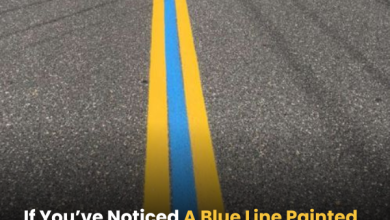 If Youve Noticed A Blue Line Painted On The Street2