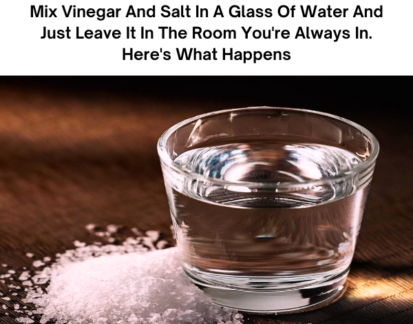 Mix Vinegar And Salt In A Glass Of Water And Just Leave It In The Room Youre Always In