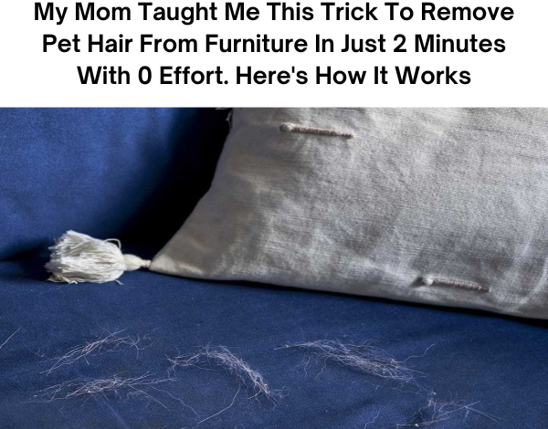 My Mom Taught Me This Trick To Remove Pet Hair From Furniture In Just 2 Minutes With 0 Effort