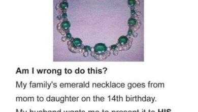 New Husband Demands Wife Give Stepdaughter Her Family Heirloom Instead Of Her Own Daughter e1726203451302