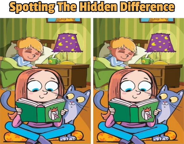 Spotting The Hidden Difference