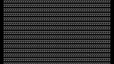 461960654 947269960761894 843488094559321099 n