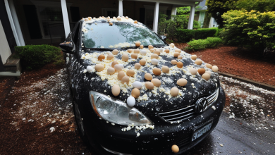 My Neighbor Threw Eggs at My Car Because It Was Blocking the View of His Halloween Decorations