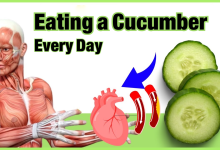 Things That Can Happen to Your Body If You Start Eating One Cucumber a Day