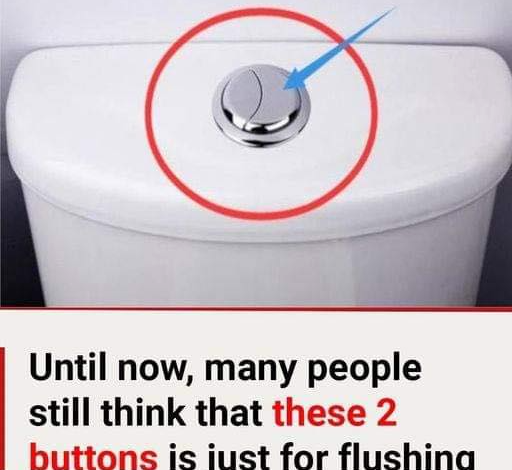 Whats the Purpose of DualFlush Toilet Buttons